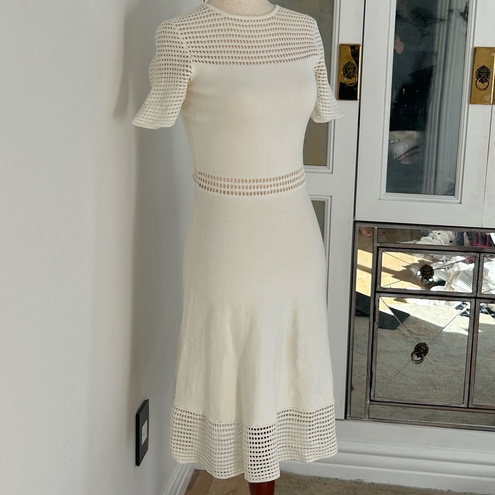 Torn by Ronny Kobo Dress